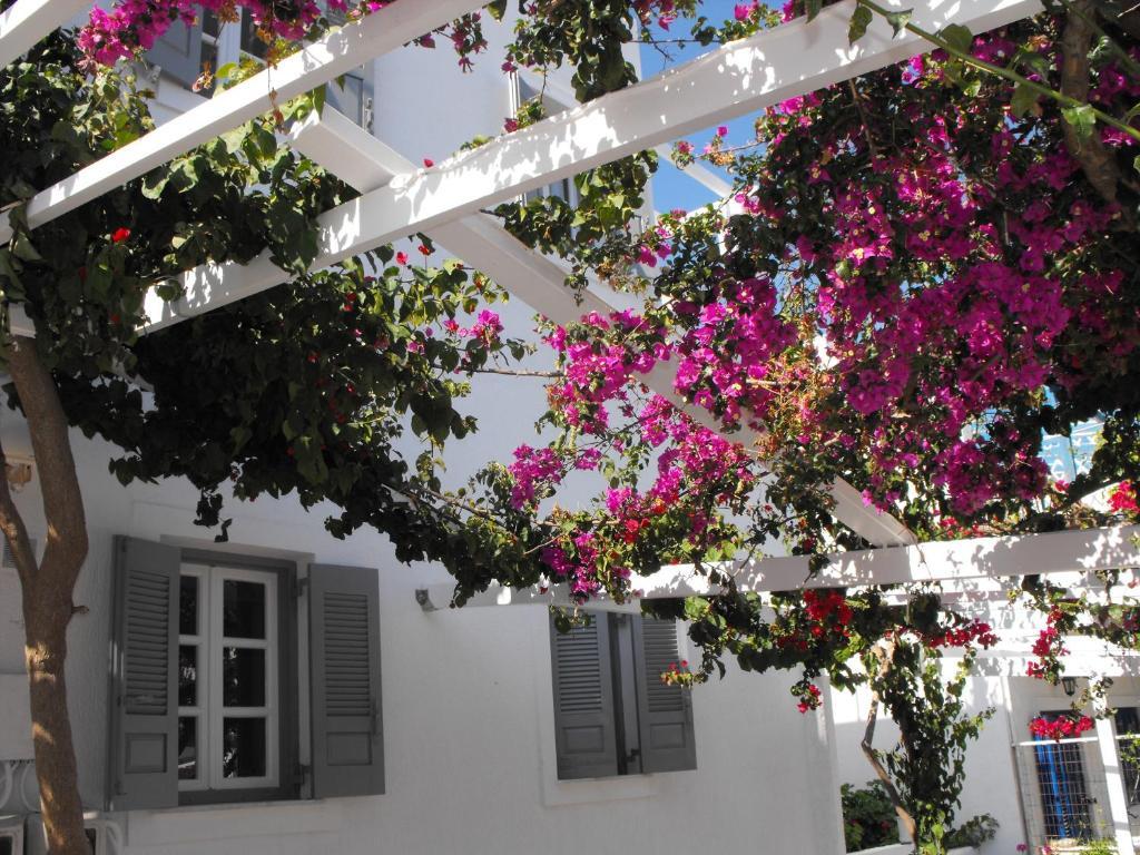 Milos Bay Suites Αδάμας Εξωτερικό φωτογραφία
